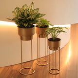 Gold Metal Planters - Pack of 3