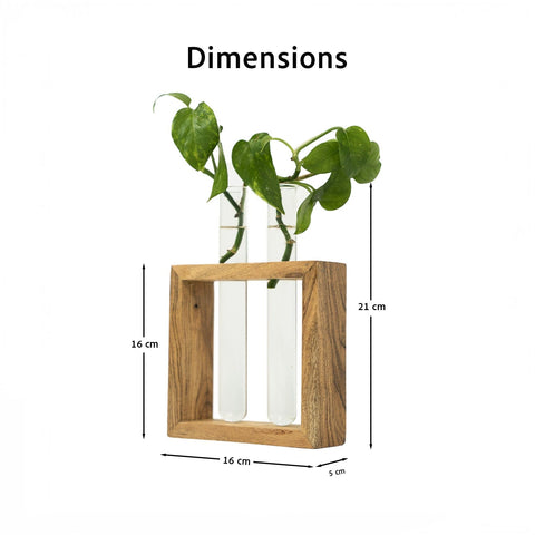 Test Tube Planter | Set of 2 Desk Money Plant Glass Pot