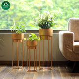 Gold Metal Planters - Pack of 3