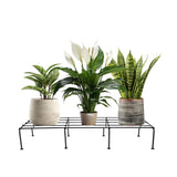 Bold Plant Stand - Set of 4