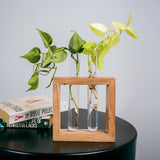 Test Tube Planter | Set of 2 Desk Money Plant Glass Pot