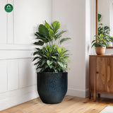 Plant Sphere Unbreakable Plastic Pot