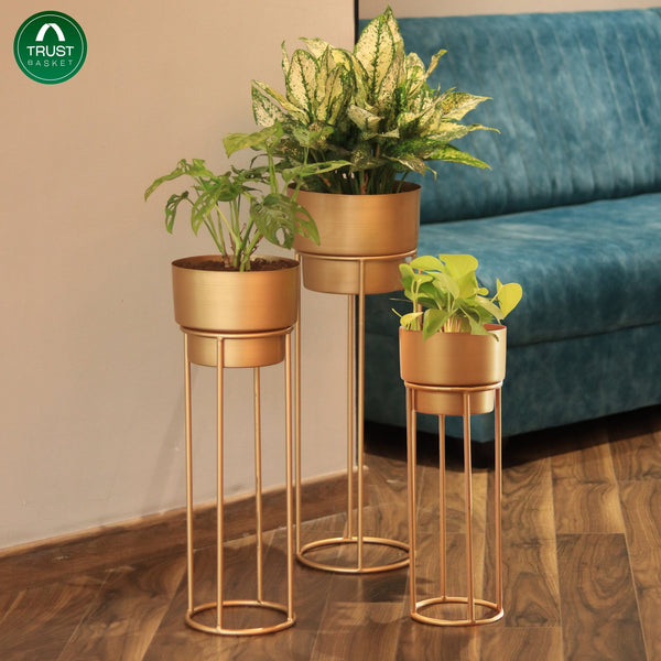 Gold Metal Planters - Pack of 3