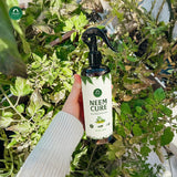 Neem Oil Spray for Plants