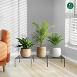 Bold Plant Stand - Set of 4