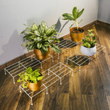 Bold Plant Stand - Set of 4