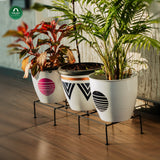 Bold Plant Stand - Set of 4