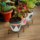 Bold Plant Stand - Set of 4