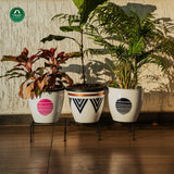 Bold Plant Stand - Set of 4