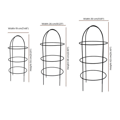 TrustBasket Obelisk trellis for Plant Support - Set of 3