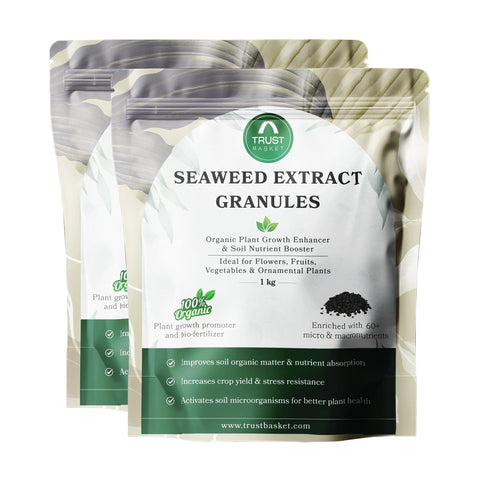 Seaweed Extract Granules