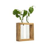 Test Tube Planter | Set of 2 Desk Money Plant Glass Pot