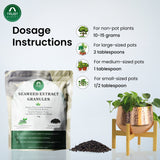 Seaweed Extract Granules