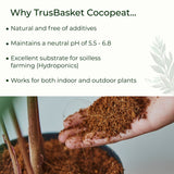 TrustBasket Cocopeat for Plants (5kg) + Earth Magic Potting Soil Fertilizer for Plants (5 kg)