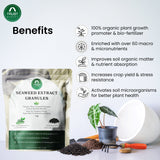 Seaweed Extract Granules