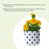 Earth Magic Potting Soil (5kg) + UV Stabilized Long Life Premium Colorful Dotted Grow Bags - 5 Qty (20 * 20 * 35cms)