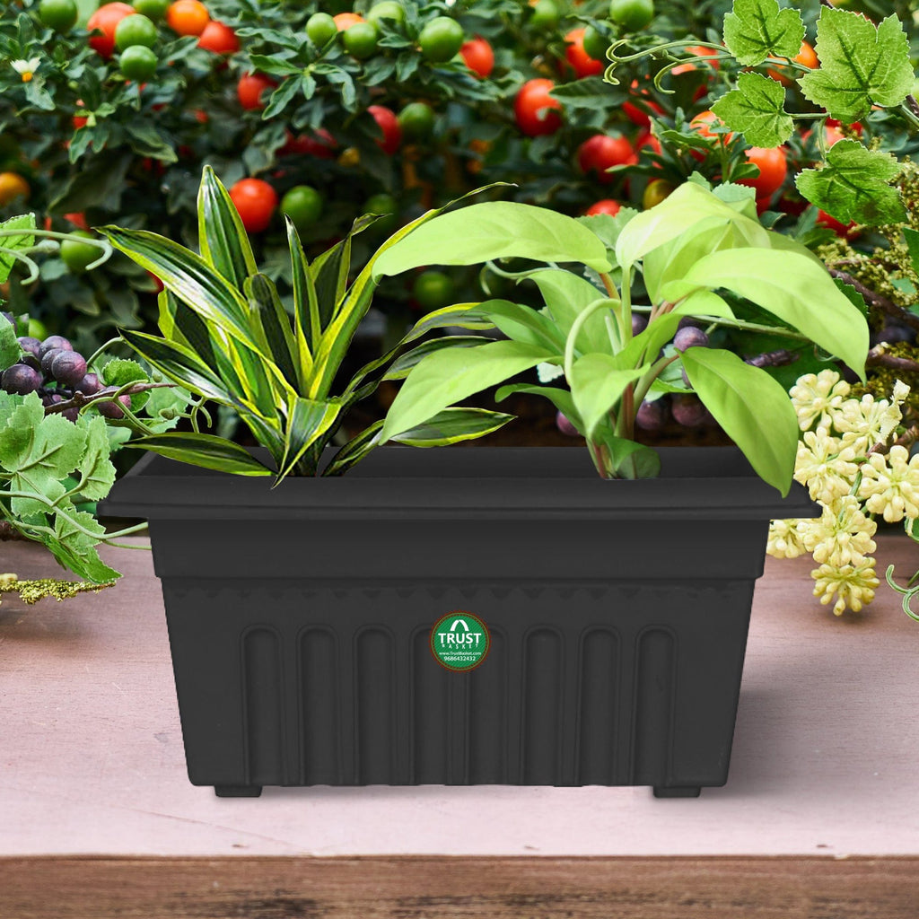 UV Treated Rectangular Plastic Planters (14 inches) – TrustBasket