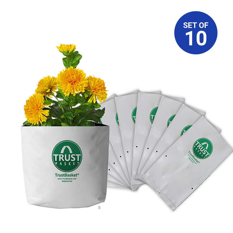 TrustBasket Large Poly Growbags UV Stabilized-10 Qty [24cms(L)X24cms(W)X40cms(H)]