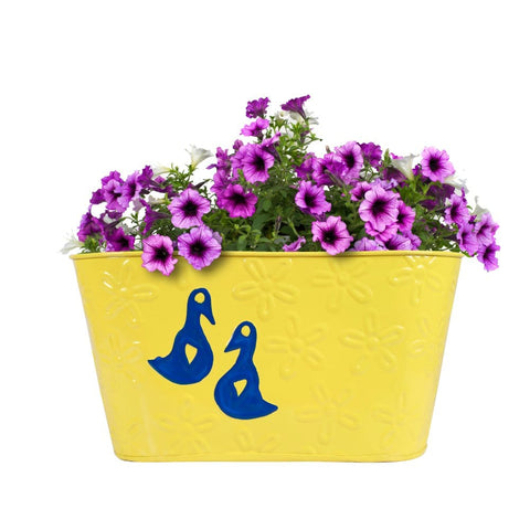 Duck Designer Oval Railing Planters - Set of 2 (Blue and Yellow)