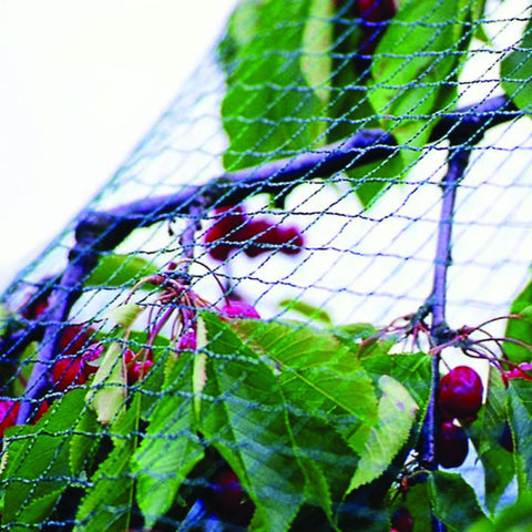 Bird Safety Net for Balcony Garden(6 ft* 6 ft )