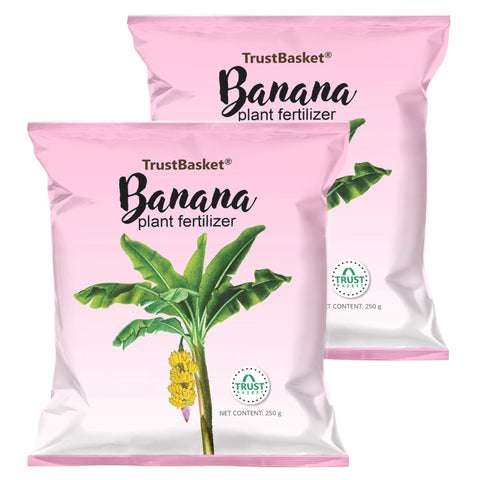 BANANA PLANT FERTILIZER