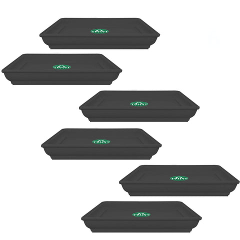 TrustBasket UV Treated 4.5 inch Square Bottom Tray(Plate/Saucer) Suitable for 6 inch Square Plastic Pot