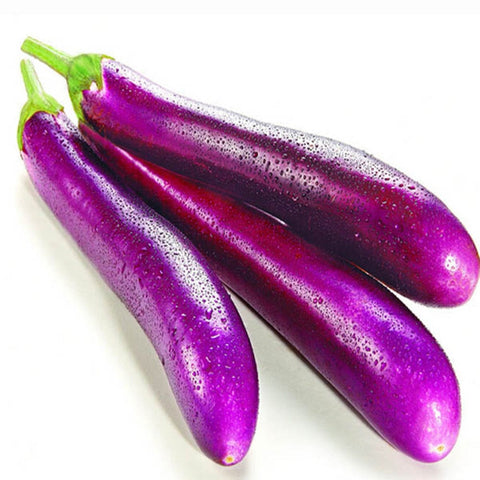 Brinjal long purple seeds (OP)