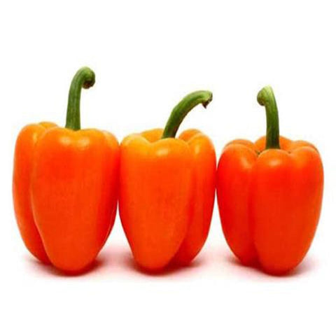 Capsicum orange Seeds(Hybrid)