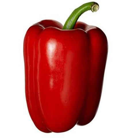 Capsicum red Seeds (Hybrid)