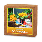 COCOPEAT BLOCK - EXPANDS TO 75 LITRES of COCO PEAT POWDER