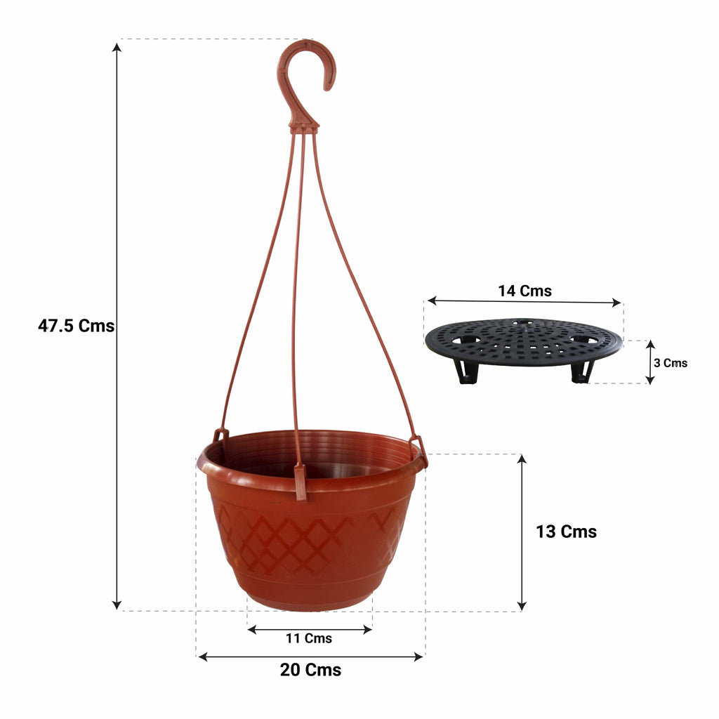 Fern Hanging Basket (Set of 3) – TrustBasket