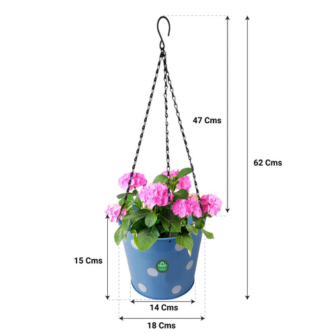 Dotted Round Hanging Basket - Set of 5 (Red, Yellow, Green, Orange, Blue)