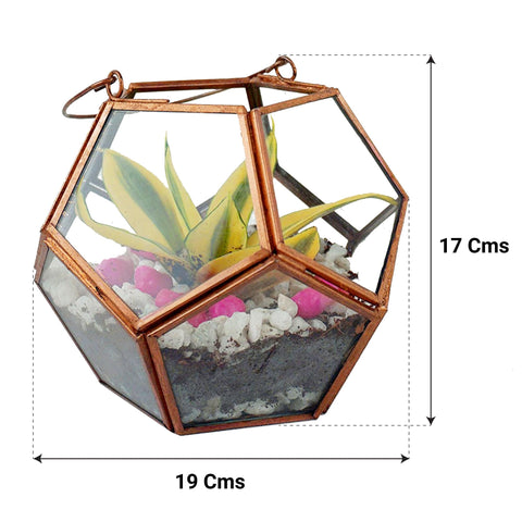 Geometric Terrarium