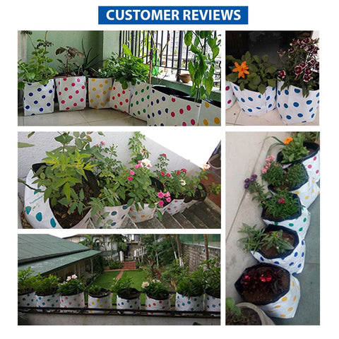 Set of 5 premium colourful Dotted Grow bags (20*20*35 cms)