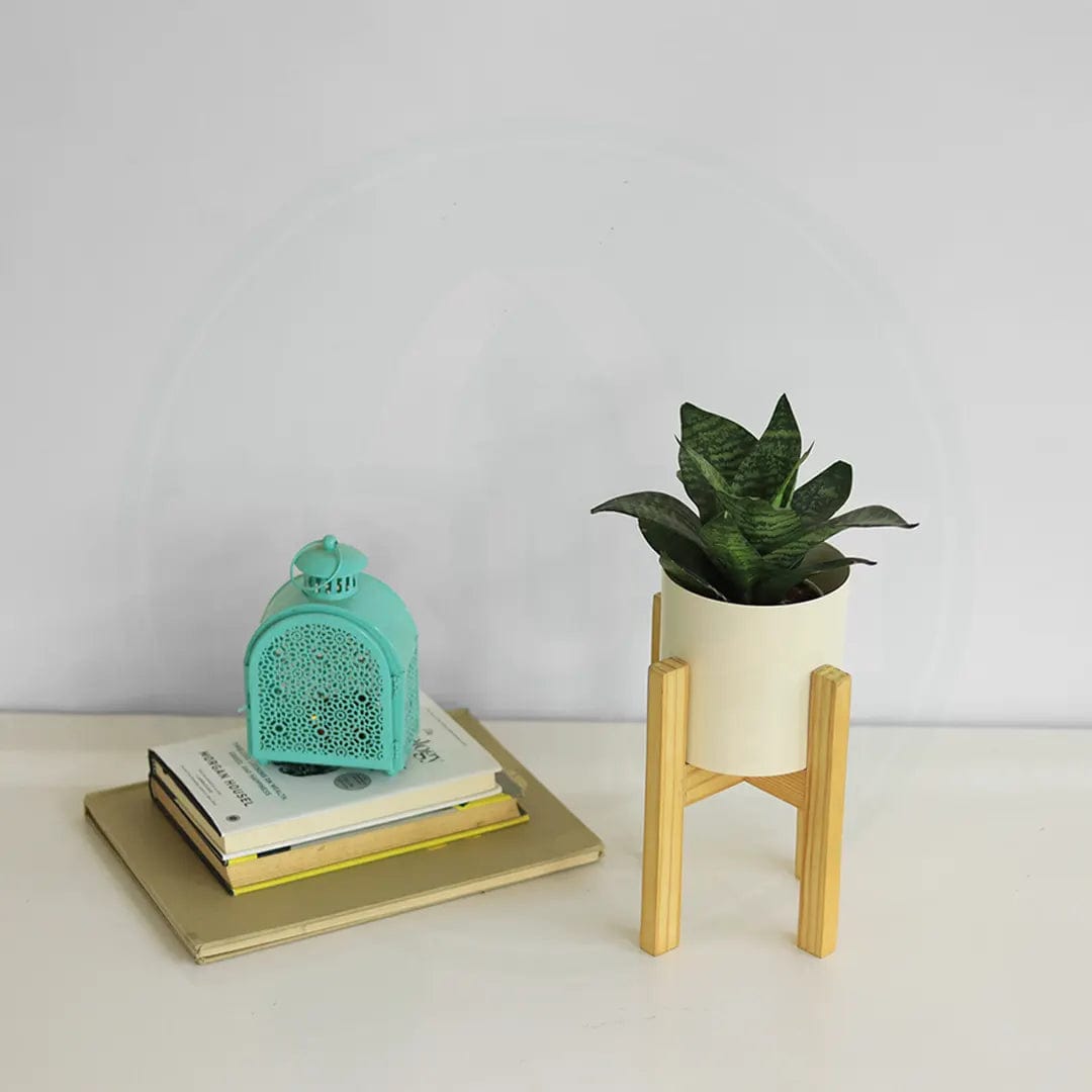 Zen: 5 fantastic gifts for any zen friend - LIFESTYLE BLOG BY ALESSIA LICIT