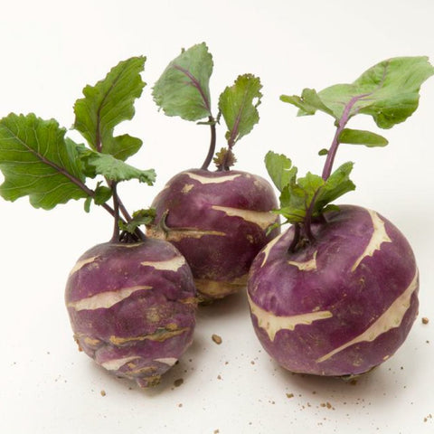 Knol Khol Purple Seeds (OP)