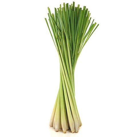 Lemon Grass seeds (Hybrid)