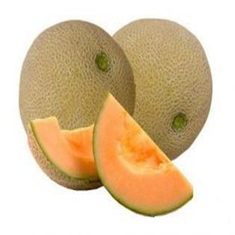 Musk melon seeds (Hybrid)