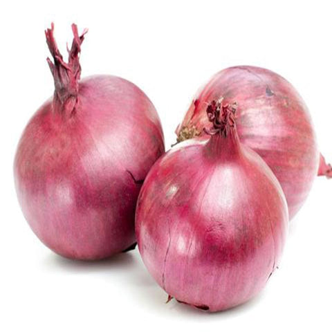 Onion seeds (Hybrid)