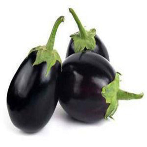 Brinjal round purple seeds (Hybrid)