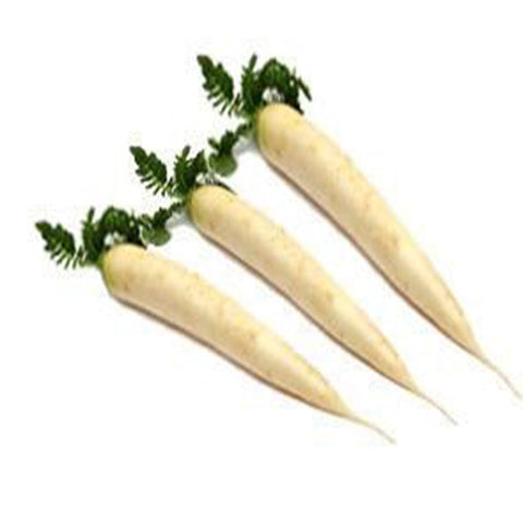 Raddish long white seeds (Hybrid)