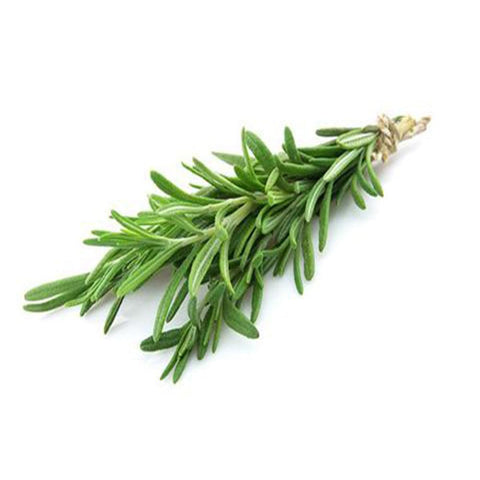 Rosemary seeds (Hybrid)