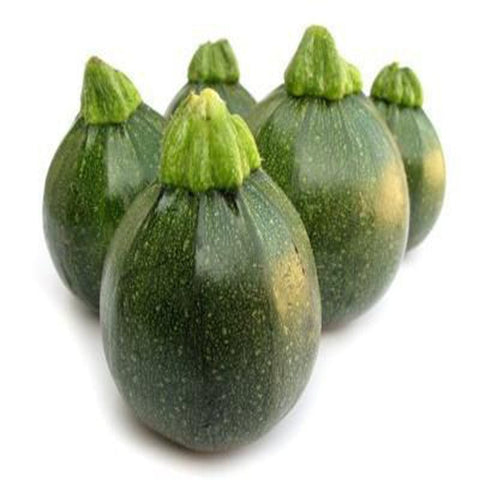 Summer squash - Chappan Kaddu seeds (OP)