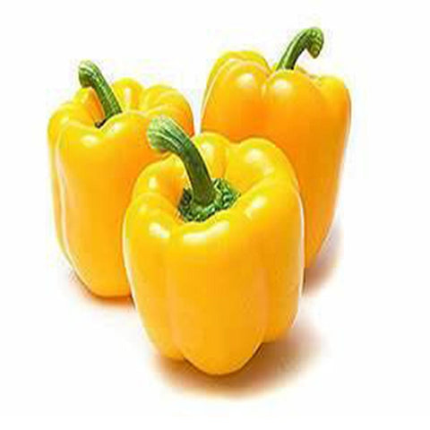 Capsicum yellow seeds (Hybrid)