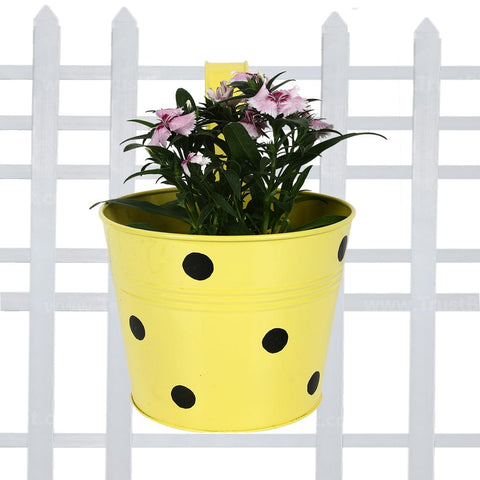 Single Railing Planter (Set of 2) - Red & Yellow