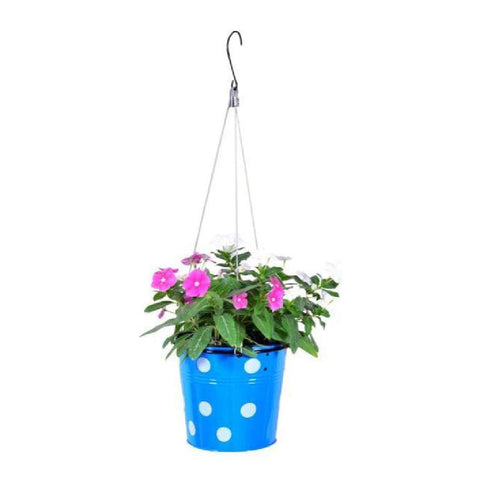 TrustBasket Dotted Round Planter with Hanging Wire Rope