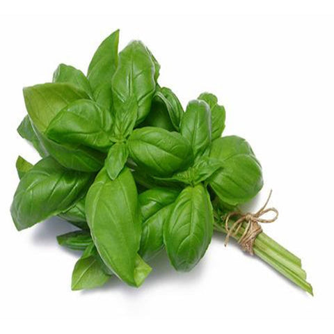 Basil Seeds (Hybrid)