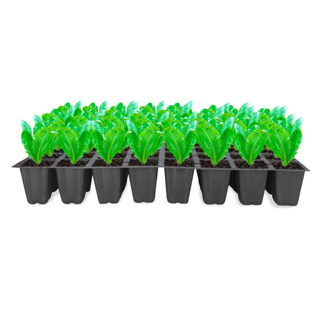 TrustBasket 40 cavity Seedling cup (pack of 10)