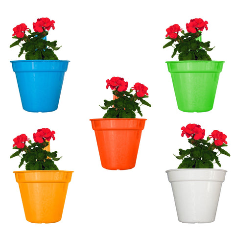 Hector Hook Pot (Set of 5 Assorted colors)